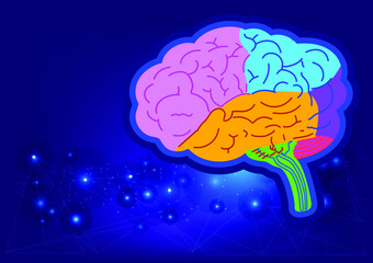 brain schematic raster illustration. Medical science educational illustration. Copy space for your text