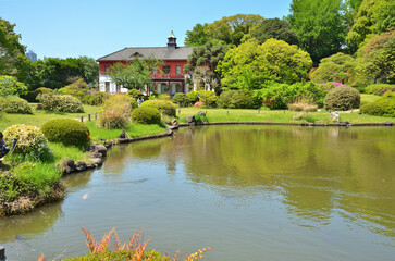 Obraz premium 小石川植物園・日本庭園