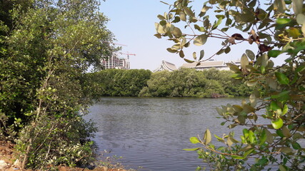 River atmosphere during the day