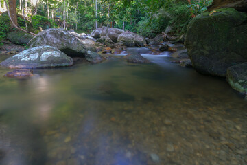 small river in the forest