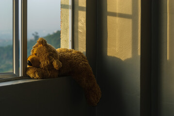 teddy bear in the window