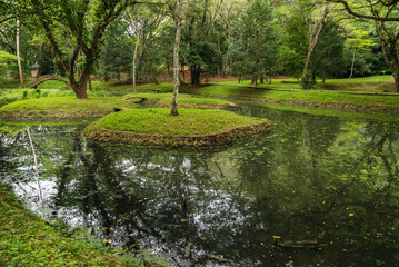 pond in the park