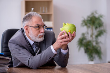 Fototapeta premium Old male employee in budget planning concept