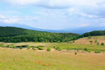 霧ヶ峰　池のくるみ　踊場湿原