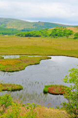 霧ヶ峰　八島ヶ原湿原