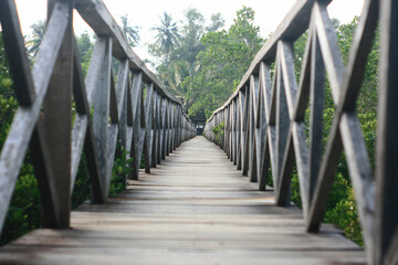 wooden bridge in the woods