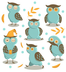 funny owls. set of birds in different positions. vector illustration in cartoon style