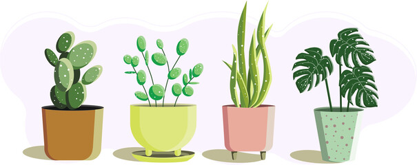 set of ceto in pots. vector illustration in cartoon style