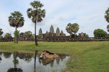 Cambodia. Angkor Wat temple. Siem Reap city. Siem Reap province.