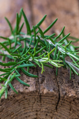 Rosemary branches on old wood, vertical stock photo