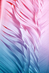 Detailed macro photo of colorful goose feathers in bright contrast light