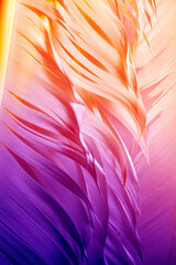 Detailed macro photo of colorful goose feathers in bright contrast light