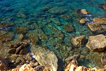 Naklejka na ściany i meble Coral coast of the mediterranean sea in cyprus