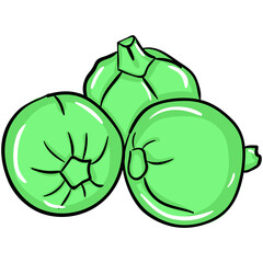 Round Gourds 