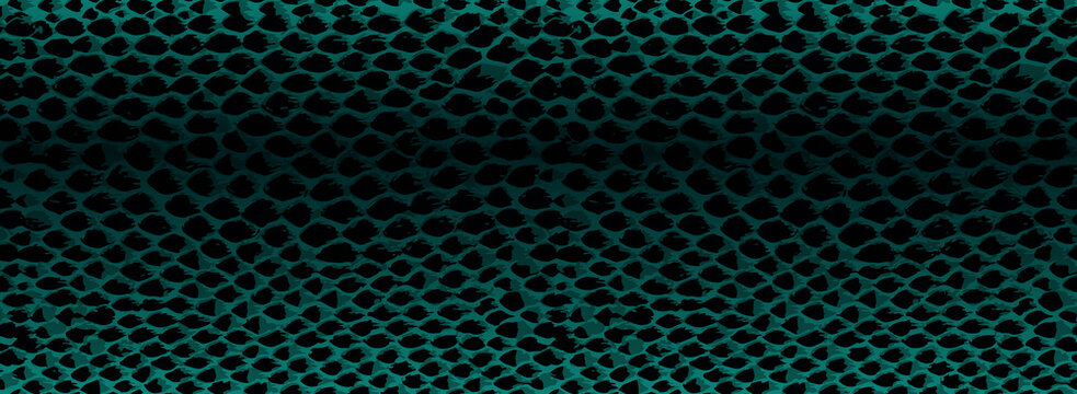 Snake skin texture.