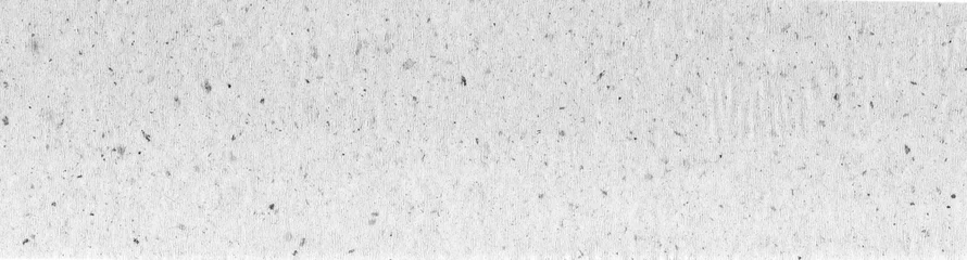 recycled paper texture horizontal background, copy space, textured kraft grunge design, reuse cellulose gray © EkaterinaP