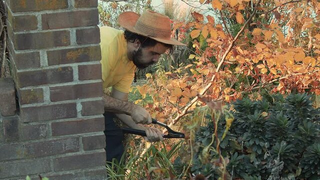 gardner outside trimming plants