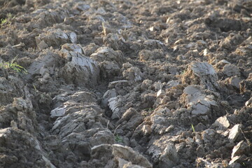 Terre labourée à vif dans un champ de culture