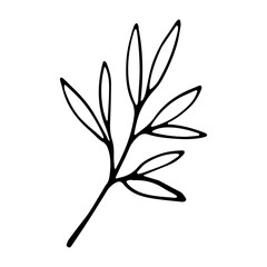 Hand drawn Single leaf for wedding decor.