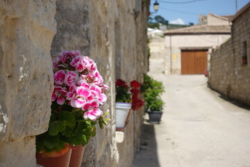 Fototapeta na wymiar スペインの街角にある花のある暮らし