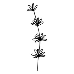 Floral sketch. Social media story floral element