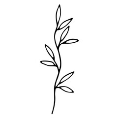 Single doodle leaf isolated on white