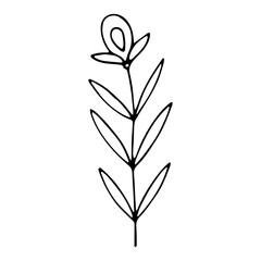 Vector floral illustration with branch