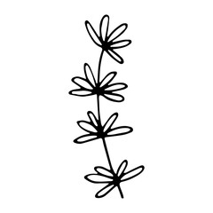 Vector floral illustration with branch
