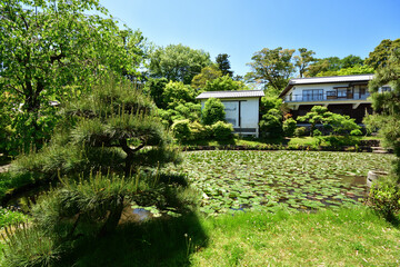 老欅荘の庭園