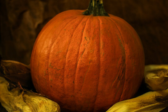 Pumpkin and Corn on a Wooden Table