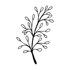 Obraz premium Cover Highlight Icon