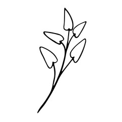 Single doodle leaf isolated on white