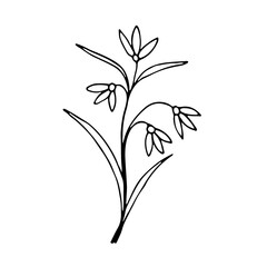 Cover Highlight Icon. floral flower hand drawn doodle icon for social media story. Cute single hand drawn herbal element