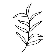 Floral hand drawn doodle icon for social media story