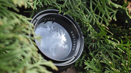 Person Hidden in Bush Taking Pictures with Telephoto Lens and Spying Others