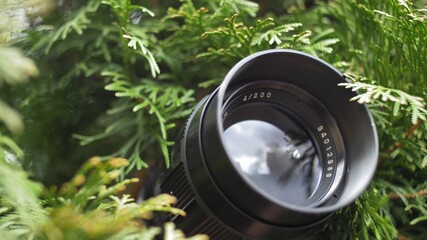 Person Hidden in Bush Taking Pictures with Telephoto Lens and Spying Others