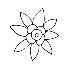 Floral hand drawn doodle icon for social media story