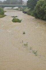 雨の翌日の横川