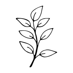 Cover Highlight Icon. Cover Highlight Icon. Trendy abstract organic and graphic element. Art foliage natural leaves herbs in line style