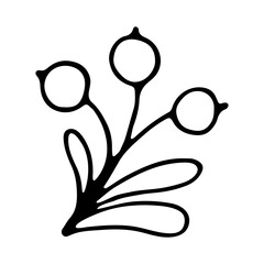 Cute single hand drawn herbal element