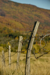 Fototapeta premium A razor wire fence at the countryside