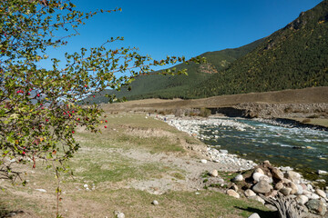 mountain river between sheer cliffs . blue clear water of the river.