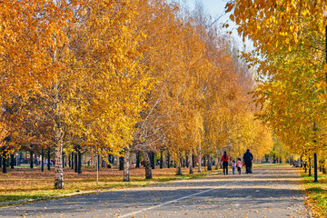 Sunny alley for walks in the city autumn park