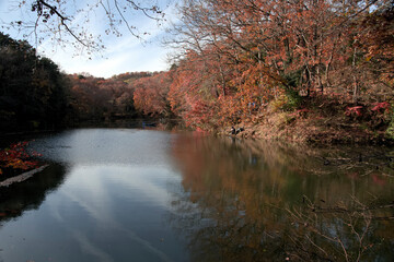 震生湖の紅葉