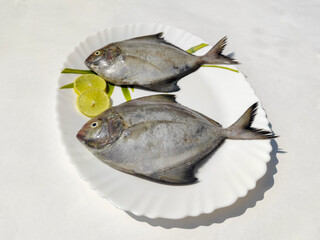 Black Pomfret Decorated with Vegetables and herbs, on a white plate.