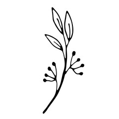 Floral hand drawn doodle icon for social media story. Ink drawn branch
