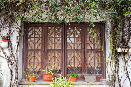 中国らしい伝統的な窓と蔦
