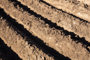 Closeup of furrows of fertile soil on ploughed farm field prepared for planting crops in spring..