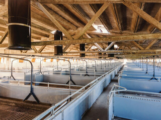 Interior of animal farm. There are no animals. Empty barn.