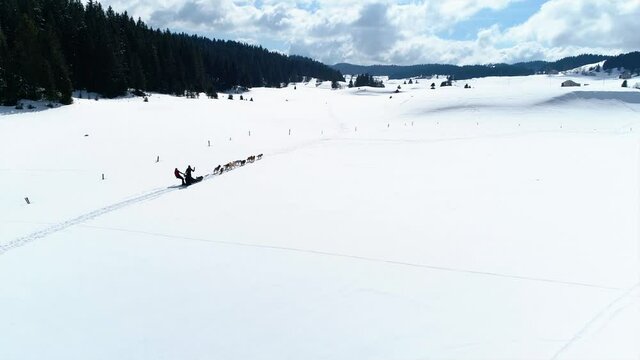 Drone tracking shot of a dog sled in a beautiful snowy valley with two happy mushers